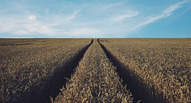 Photo by Rasmus Landgreen on Unsplash